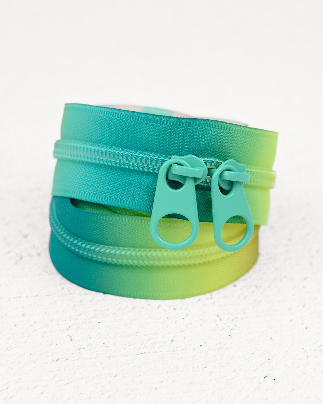 Coastal Fade - Handbag Zipper - Renaissance Ribbons