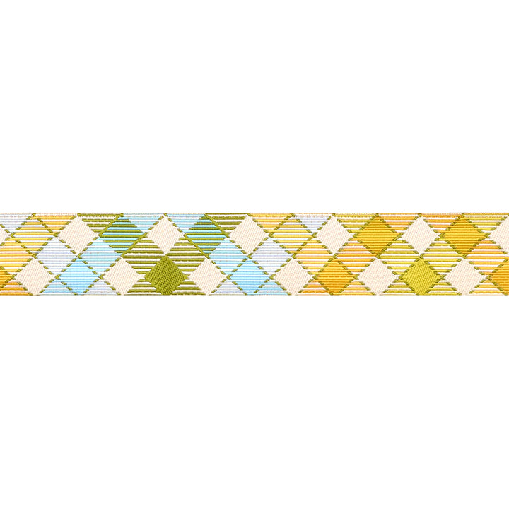 PREORDER - Animal Park Fun - Multi Gingham Bias 7/8" - by Stacy Iest Hsu - One Yard