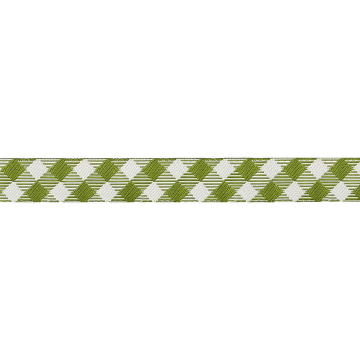 My Secret Garden - Garden Gingham in Leafy - 5/8" width - by Stacy Iest Hsu - One Yard