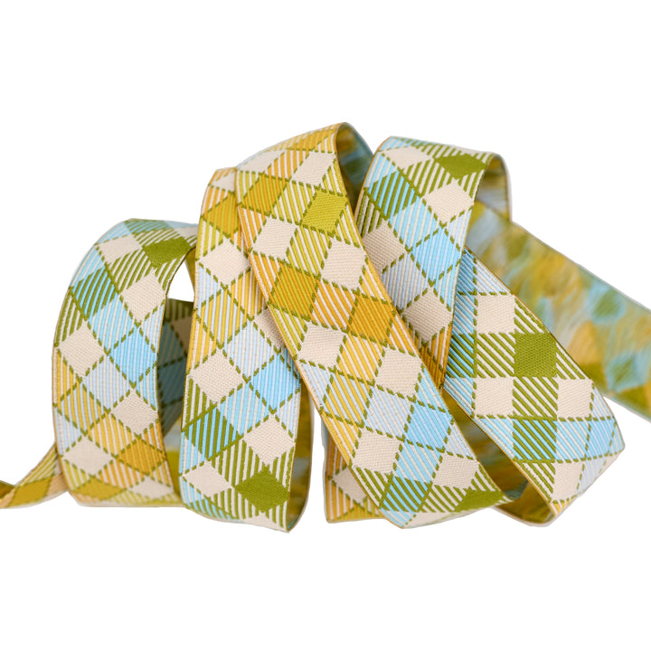 PREORDER - Animal Park Fun - Multi Gingham Bias 7/8" - by Stacy Iest Hsu - One Yard