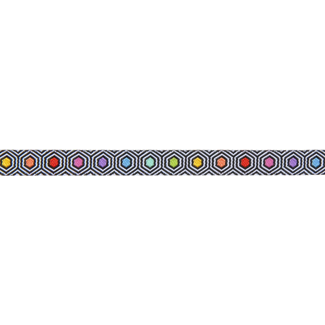 Hexy Rainbow- Tula Pink Linework - 3/8"