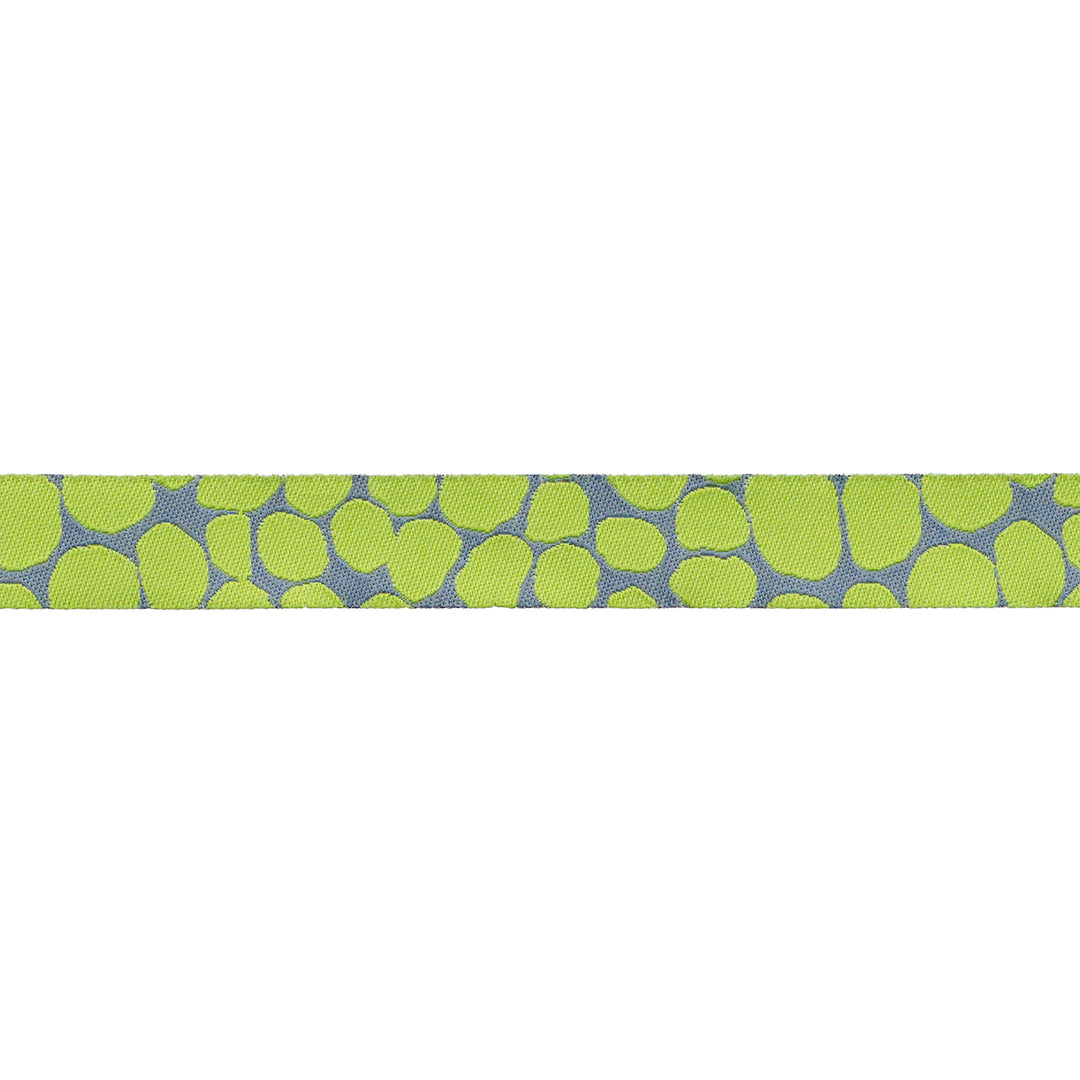 Jumble in Lime - 5/8" width - Kaffe Classics 2024 - One Yard