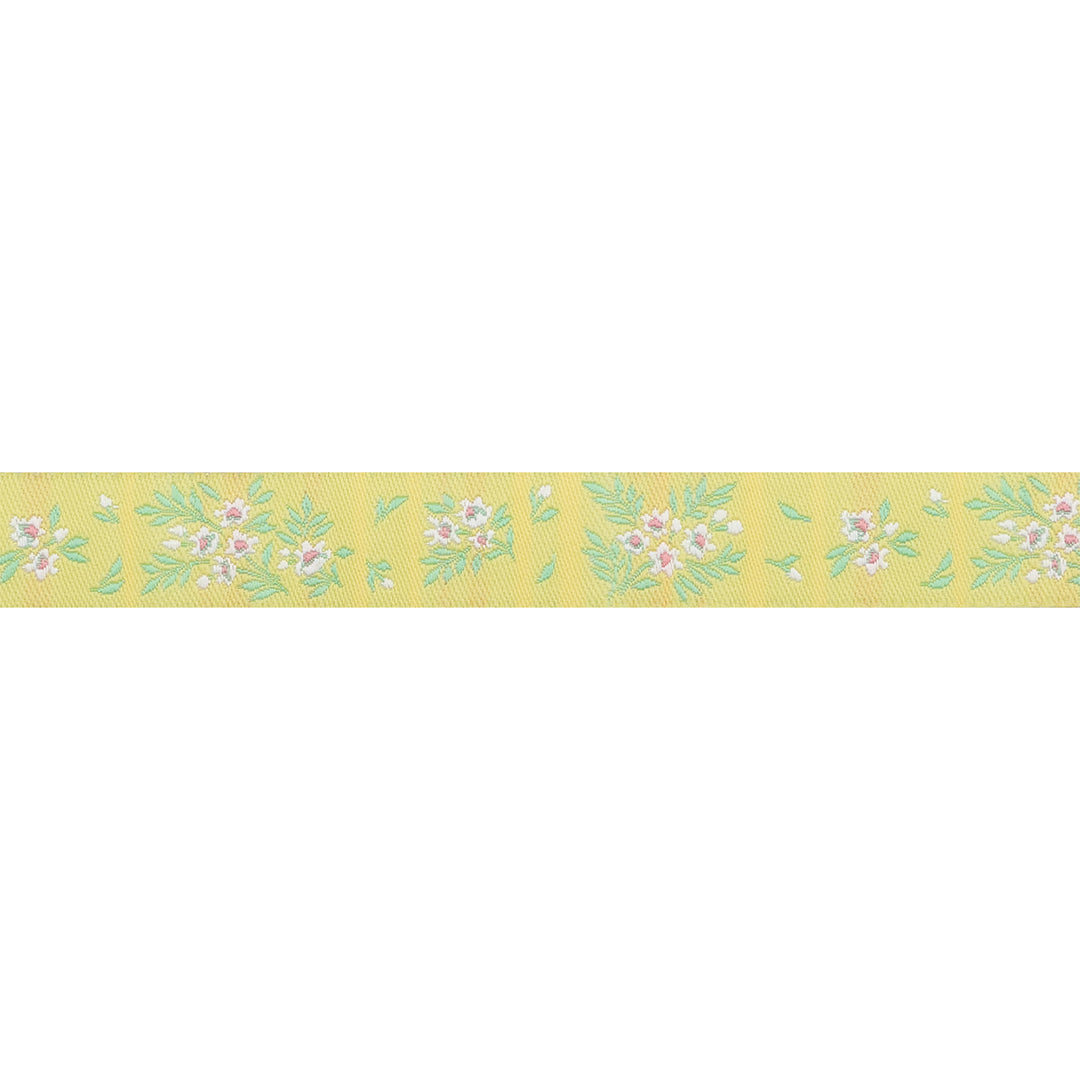 PREORDER - True Colors 2025 - What a Ditz in Buttercup - 5/8" width - by Tula Pink - One Yard