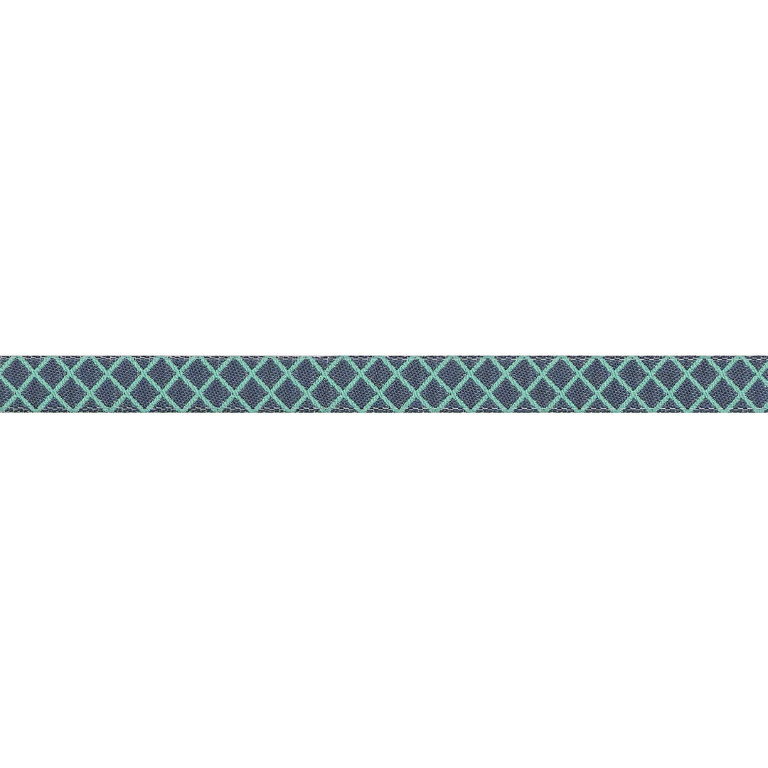 PREORDER - True Colors 2025 - On the Grid in Raindrop - 3/8" width - by Tula Pink - One Yard