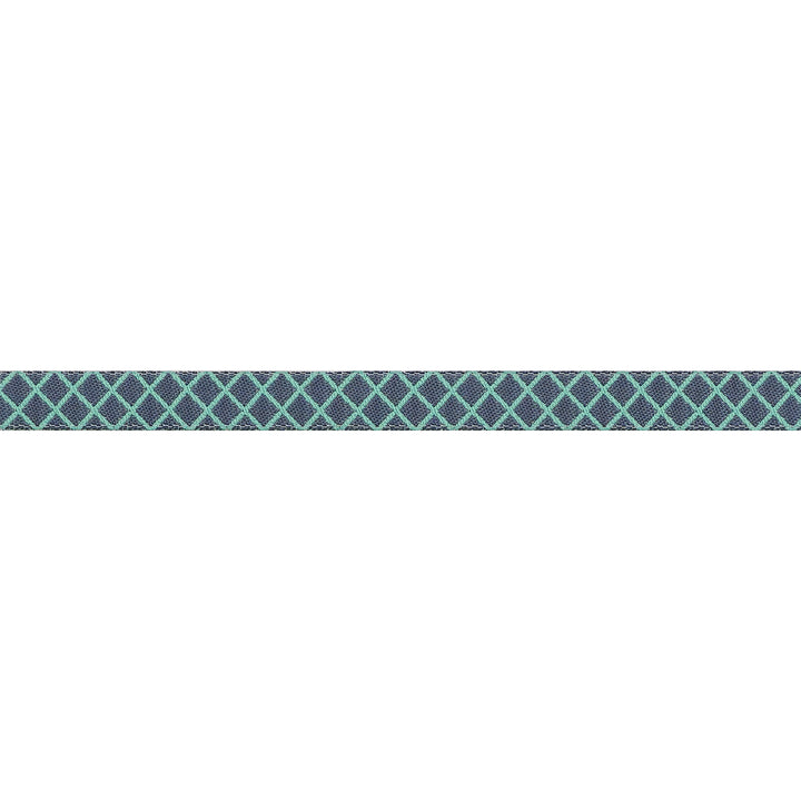 PREORDER - True Colors 2025 - On the Grid in Raindrop - 3/8" width - by Tula Pink - One Yard