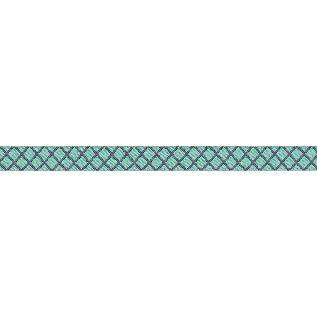 PREORDER - True Colors 2025 - On the Grid in Raindrop - 3/8" width - by Tula Pink - One Yard