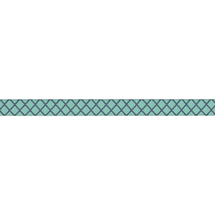 PREORDER - True Colors 2025 - On the Grid in Raindrop - 3/8" width - by Tula Pink - One Yard