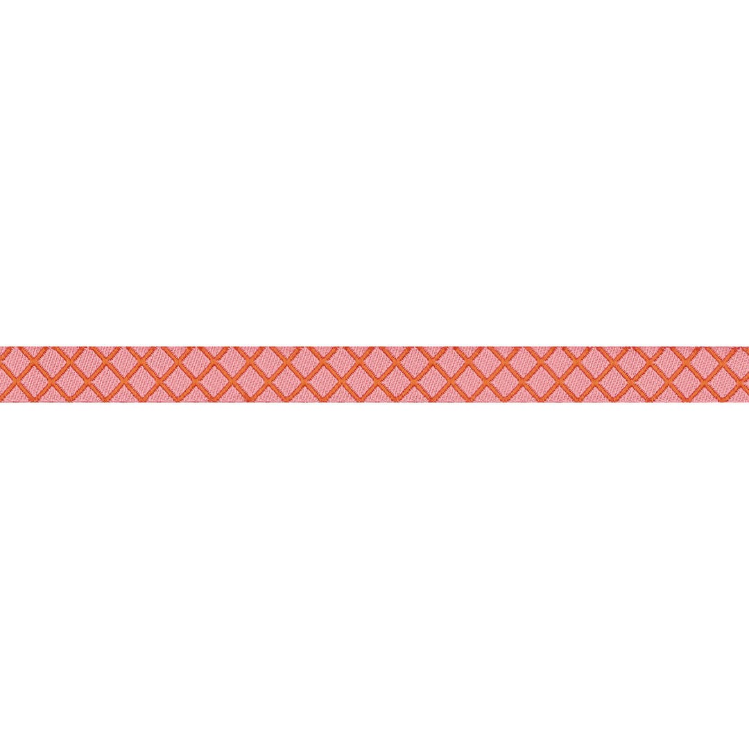 PREORDER - True Colors 2025 - On the Grid in Salmon - 3/8" width - by Tula Pink - One Yard