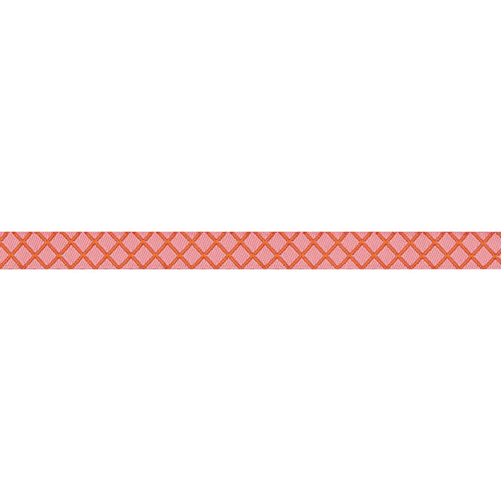 PREORDER - True Colors 2025 - On the Grid in Salmon - 3/8" width - by Tula Pink - One Yard