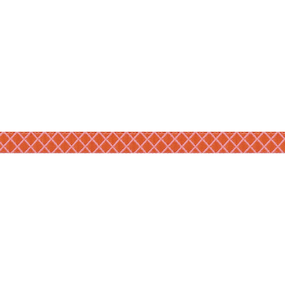 PREORDER - True Colors 2025 - On the Grid in Salmon - 3/8" width - by Tula Pink - One Yard