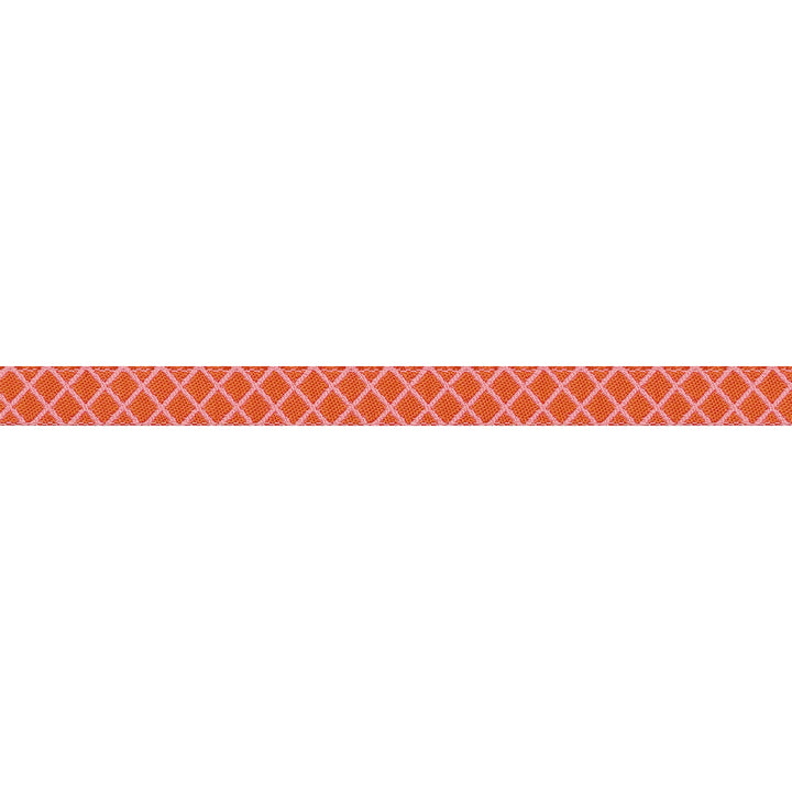 PREORDER - True Colors 2025 - On the Grid in Salmon - 3/8" width - by Tula Pink - One Yard