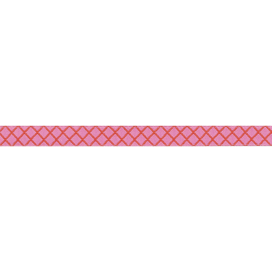 PREORDER - True Colors 2025 - On the Grid in Bubblegum - 3/8" width - by Tula Pink - One Yard