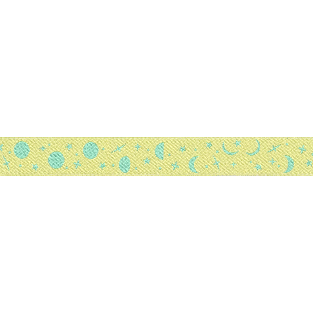 PREORDER - True Colors 2025 - Space Sprinkles in Sea Glass - 5/8" width - by Tula Pink - One Yard