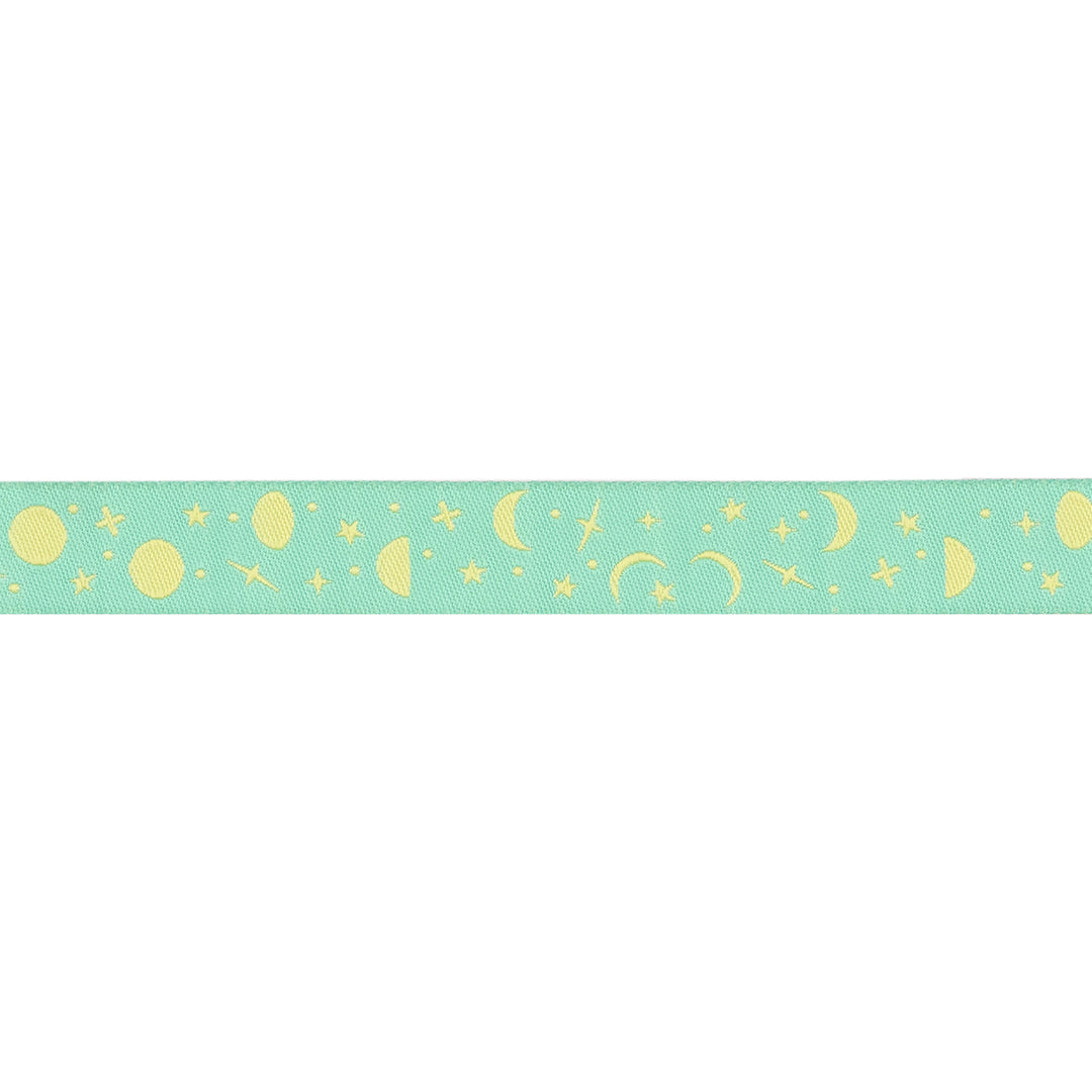 PREORDER - True Colors 2025 - Space Sprinkles in Sea Glass - 5/8" width - by Tula Pink - One Yard