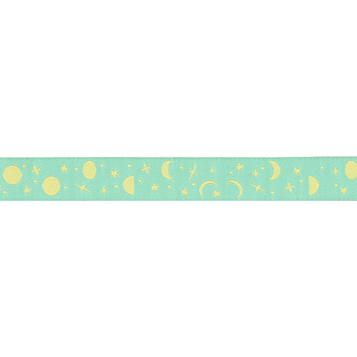 PREORDER - True Colors 2025 - Space Sprinkles in Sea Glass - 5/8" width - by Tula Pink - One Yard