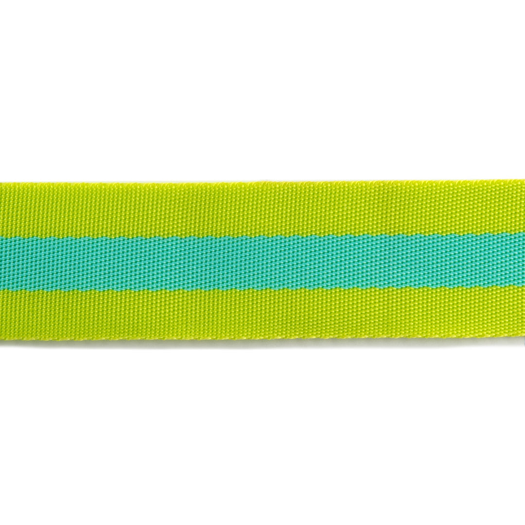 Lime and Turquoise - 1.5" - Tula Pink Webbing - 1 Yard