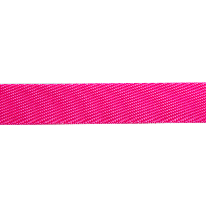 Cosmic/Pink 1" - Tula Pink Everglow Webbing - by the yd