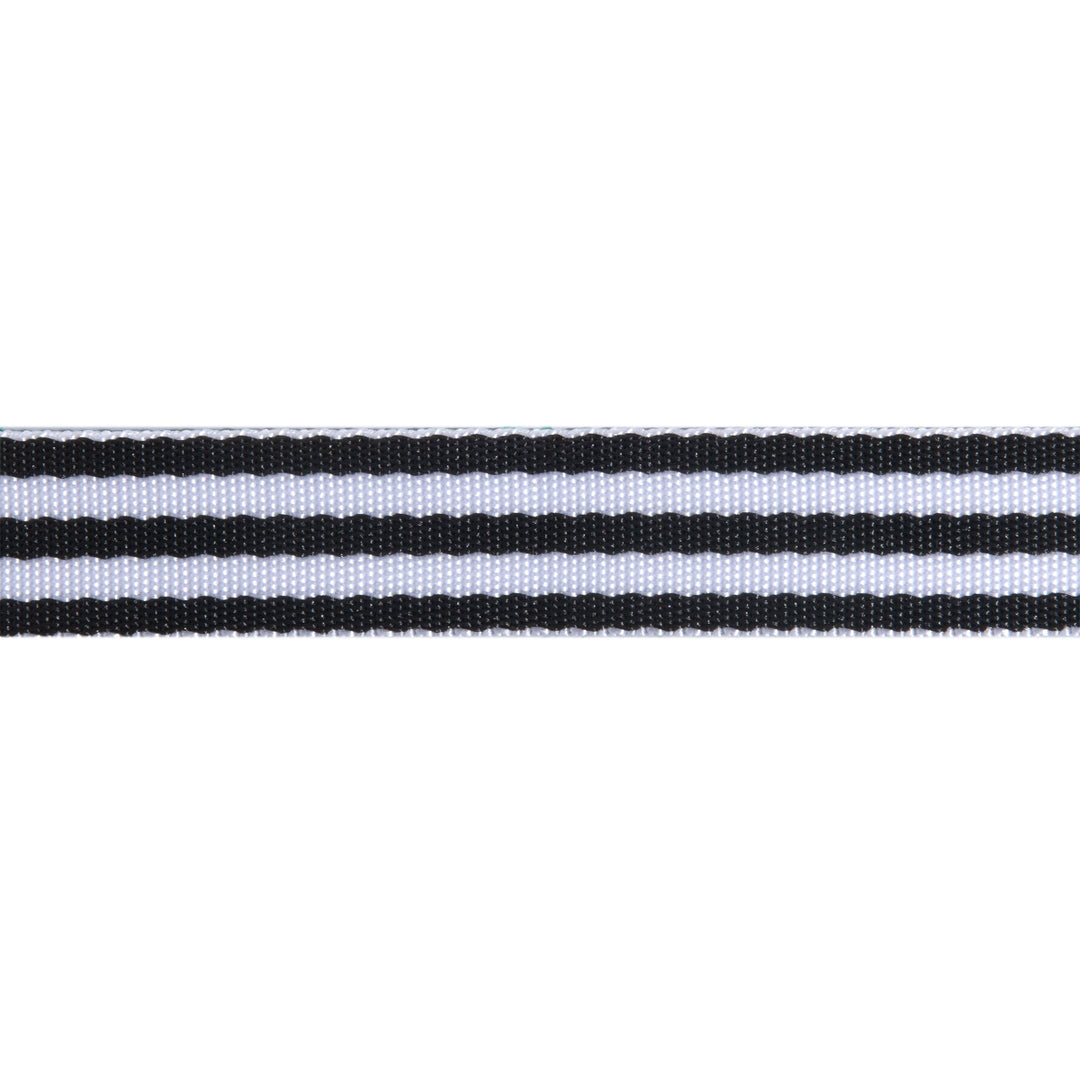 Black/White- 1"- Tula Pink Webbing by the spool